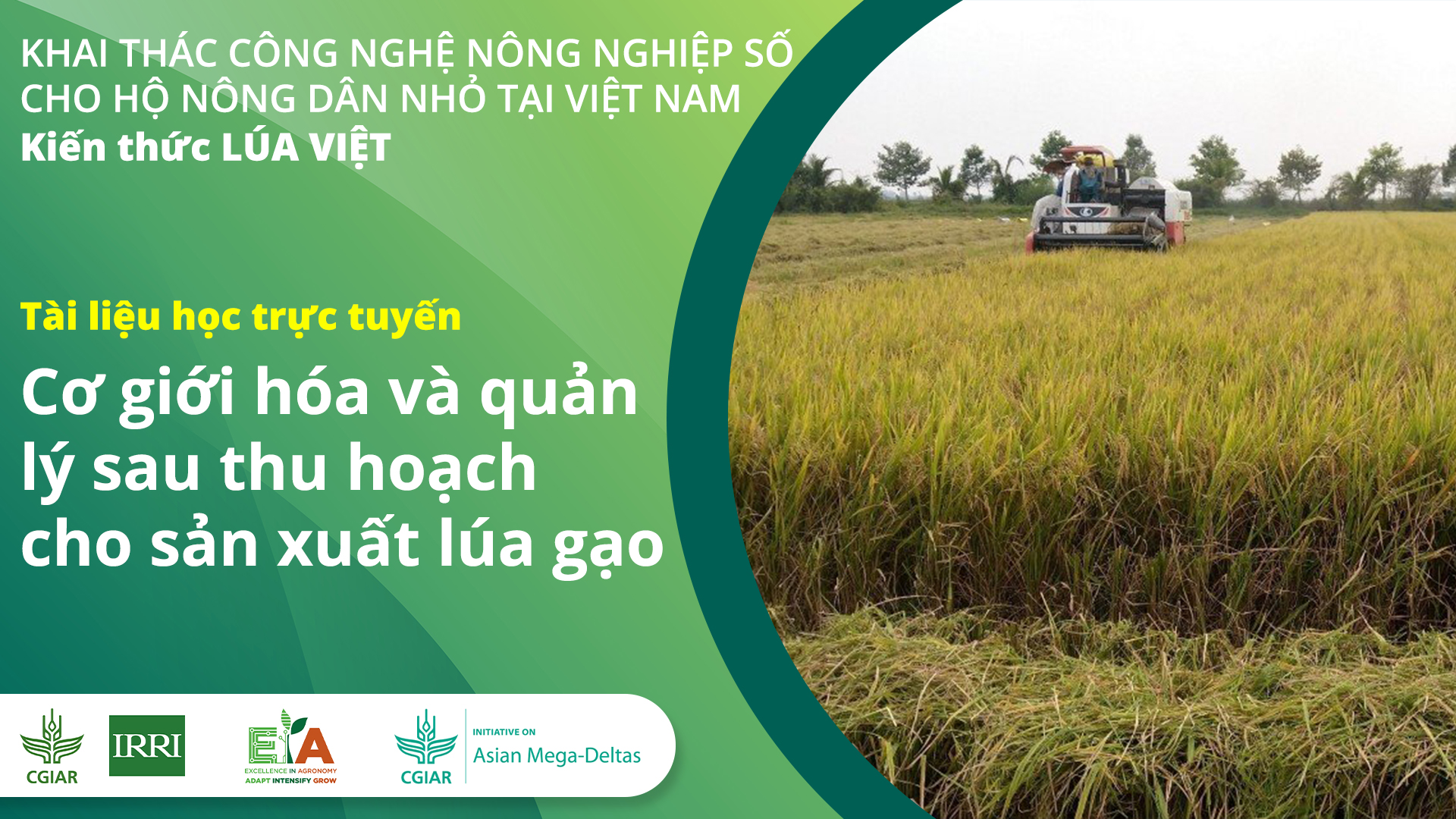 Cơ giới hóa và quản lý sau thu hoạch cho sản xuất lúa gạo